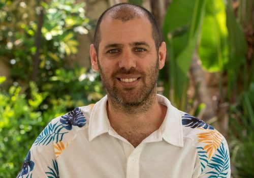 אילון